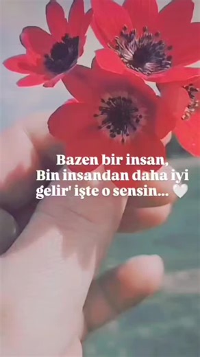 Asimavielifce on Instagram