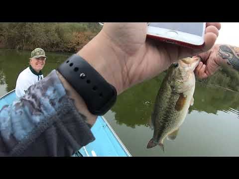 Fishing tips: Nightcrawlers for bass