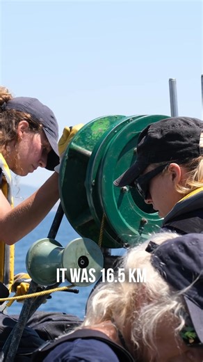 254 reactions · 11 shares | Every illegal trap is a death sentence for an octopus. Sea Shepherd crews are removing them daily, but time is running out. Donate now to fuel this mission and save the octopus by World Octopus Day. | Sea Shepherd | Facebook