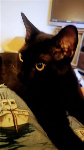 JADE, ARE YOU MY FRIEND?