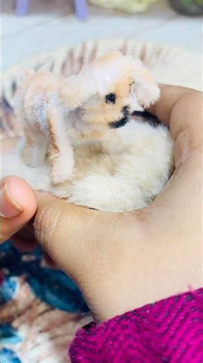 Let’s make cute puppy with pipe cleaner ✨🐶🐾 #trending #diy #viral #craft #howtomake #pipecleaners