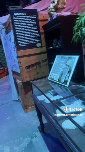 Exploring North American Cryptids at the Museum