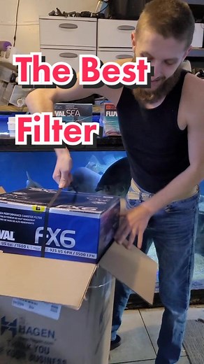 The Best Canister Filters for Sparkling Clean Water