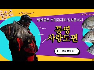 봄 감성돔 낚시 / 통영 사량도 낚시 / 산과 바다를 동시에? 감성돔낚시 / 찌낚시 / 바다낚시 / 물반고기반 / 학꽁치 / 벵에돔 / 볼락 / 도보포인터 / 방파제낚시