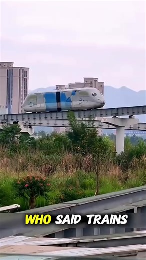 World's Cutest Train #shortsfeed #train #shorts #moda #style #ropa #top #fitness #tendencia #viralpost | History Zoom | Facebook