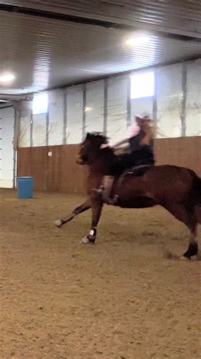 apperformancehorses1 (@apperformancehorses1)’s videos with Gasolina - Daddy Yankee