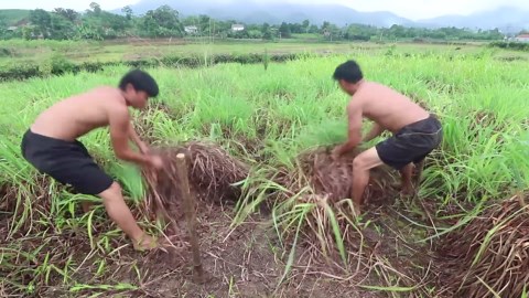 Swimming Pool in the Forest!