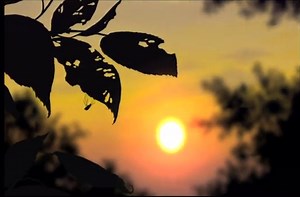 Nintendo Wii Longplay 022 Muramasa The Demon Blade