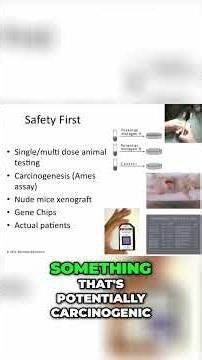 #21 TA 65 Safety - Unveiling Key Scientific Studies