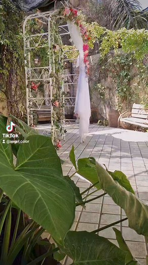 Angel Color on Reels