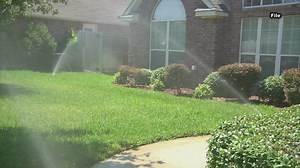 When is the best time of day to water your lawn?