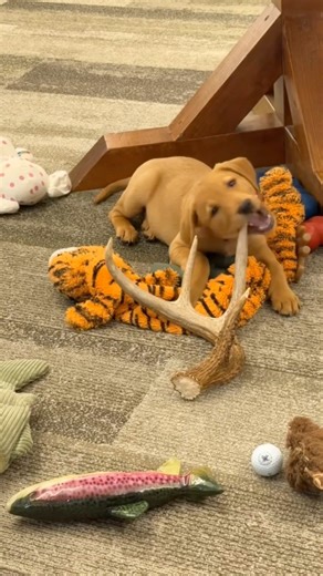 64K views · 1K reactions | What’s your Hunting Hot Take? #VortexOptics #VortexNation #HuntingSeason #HotTake | Vortex Optics | Facebook