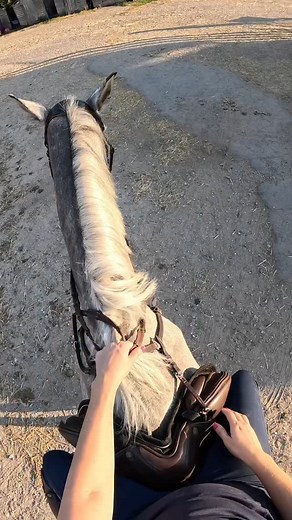 I’m not used to such a big horse 😂 #horse #equestrian #horsesofinstagram #horseriding | Laura Robson equestrian