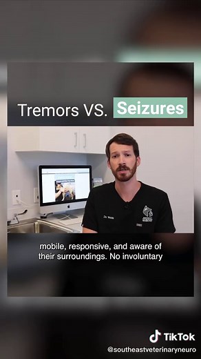 Understanding Seizures and Tremors in Dogs