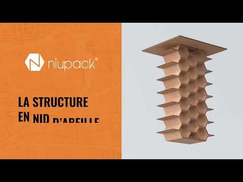 L EX carton de calage Niupack
