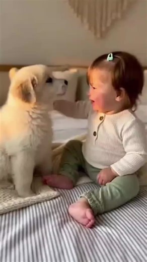 Baby and Puppy Playing Together