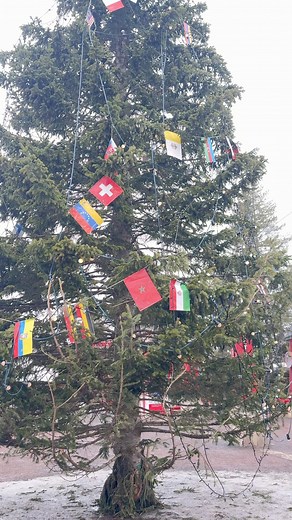This tree decorated with different country flags at Rovaniemi, Lapland 🇫🇮✈️☃️⛄️ | Explore with Ashik