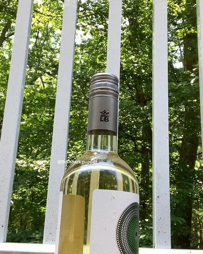 5.1K views · 104 reactions | I DID IT!!!!! #bottlecapchallenge - - Backup @thesharkpuppet - - - - - - #meme #dankmemes #shark #sharkpuppet #sharktank #challenge #firework #fortnite #minecraft #edgy #bottlecap #wine | The Shark Puppet | Facebook