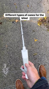 49K views · 796 reactions | Did you know there are many different...