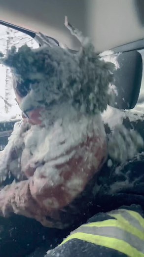 Heavy Recovery Tricks with Murphy's Diesel