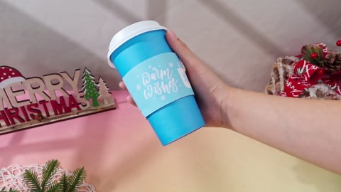 RALENO LED Video Light Panel, Camera Light for Video Conference Recording with 4000mAh Battery Type-C USB Ports, CRI>95 2500K-6500K Photo Lights for Outdoor Photography Live Streaming Zoom Call