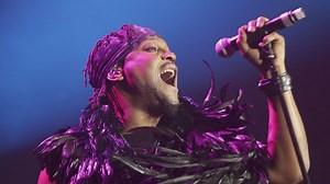 Extremely rare turtle discovered in Buffalo Bayou