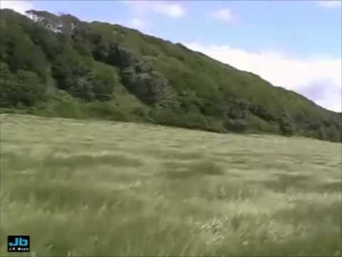 Gogi Grant - The Wayward Wind 1956