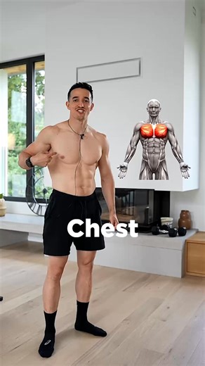 The most important muscles of the body ✅ | Tibo Inshape