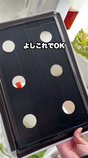 【仕事部屋で家庭菜園】藻対策 #shorts #水耕栽培 #家庭菜園