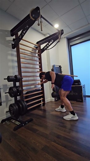 Bent Over Single Arm Row