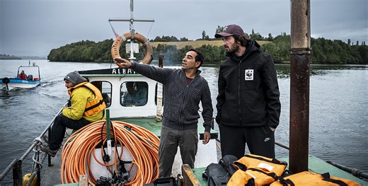 Sustainable fisheries