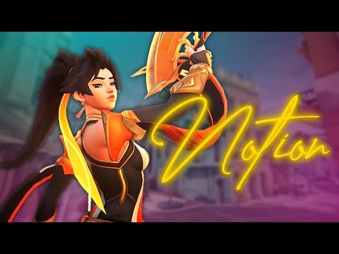 NOTION (overwatch clip dump)