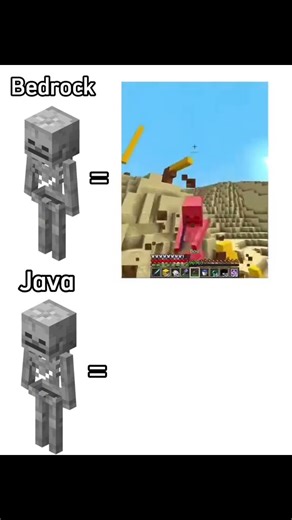 Skilet JAVA AND BEDROK #minecraft #fyp#memes