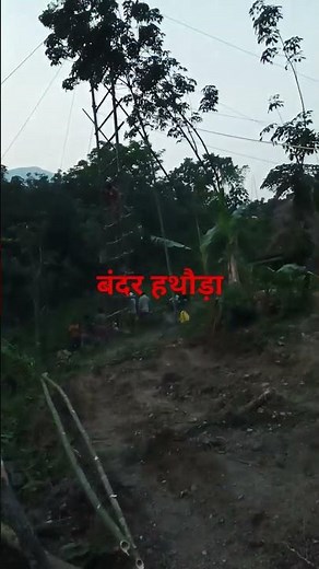 Working of Monkey Hammer