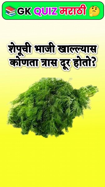 तुमच्या IQ ची परीक्षा घ्या - हा GK प्रश्न ओळखू शकाल का? | Marathi GK | #Marathi #gkshorts #shorts