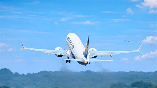 Bird strike hits plane during takeoff roll