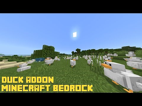 MINECRAFT BEDROCK DUCK ADDON (1.17+)
