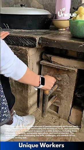 Cooking with fire: the art of the wood stove