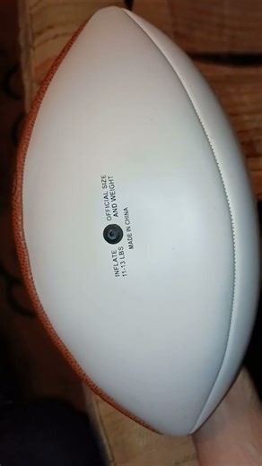 NFL: Tim Brown SIGNED 2003 Football!