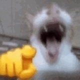 Picture this:> you are the undisputed best team in the World> just won MSI and both regular season splits> unparalleled creative drafting> best midlaner OAT> slam Faker and Showmaker on your way to Worlds finals> The Golden Road is in your hands> 0-3 by China