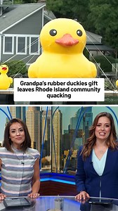 188K views · 2K reactions | People are flocking to a shipyard in Rhode Island to see a very special family of ducks. | NBC10 Boston | Facebook