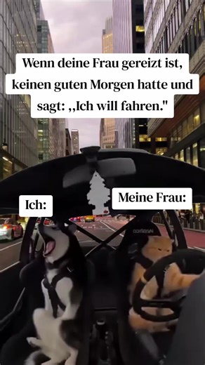 Verantwortung delegieren und die Philosophie des Beifahrers