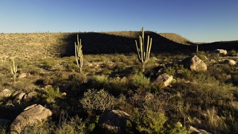 アリゾナの自然の雄大さ：ドローンから見たサワロ