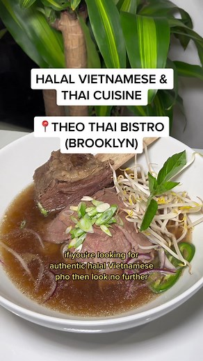 the only place in nyc with halal vietnamese pho! wallah im so glad this place opened up in BK so now i dont gotta commute all the way to long island 🥹 #theothaibistro #veitnamesefood #thaifood #halalnyc