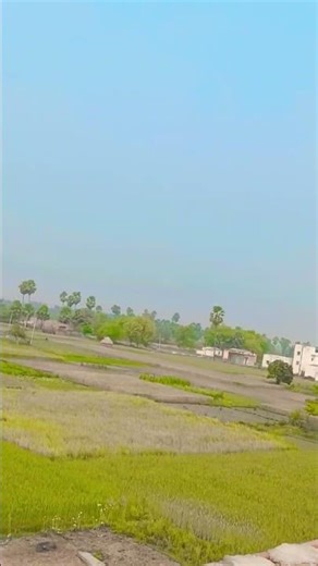 video mein BF ful support chahie mere bhai