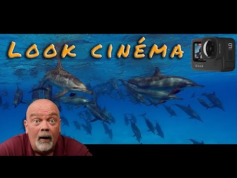 10 astuces pour réaliser des vidéos cinématographiques avec votre GoPro