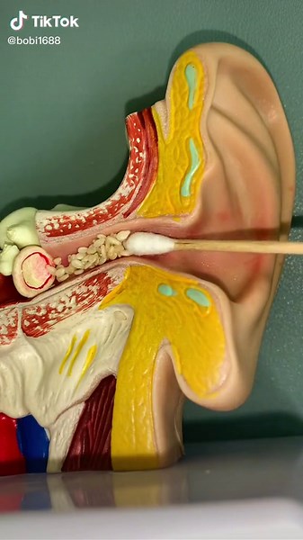 Illuminated Ear Picking Experience