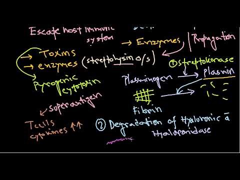 Streptococcus pathogenesis