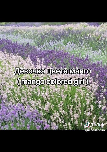 Лаванда . #лаванда #иванзоло #певец2004 #лавандаиванзоло #песни