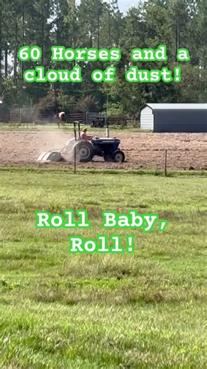 Rye grass planting time!